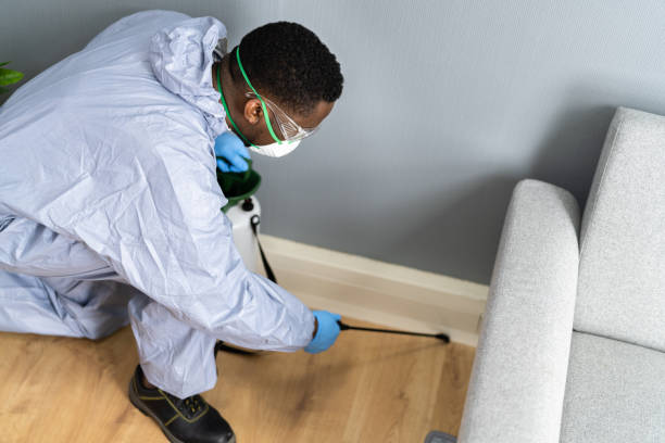 Best Bed Bug Extermination  in South Bay, FL